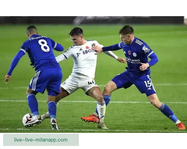 激情对决法国德国巅峰碰撞全球球迷共同见证直播之夜豪门经典对抗